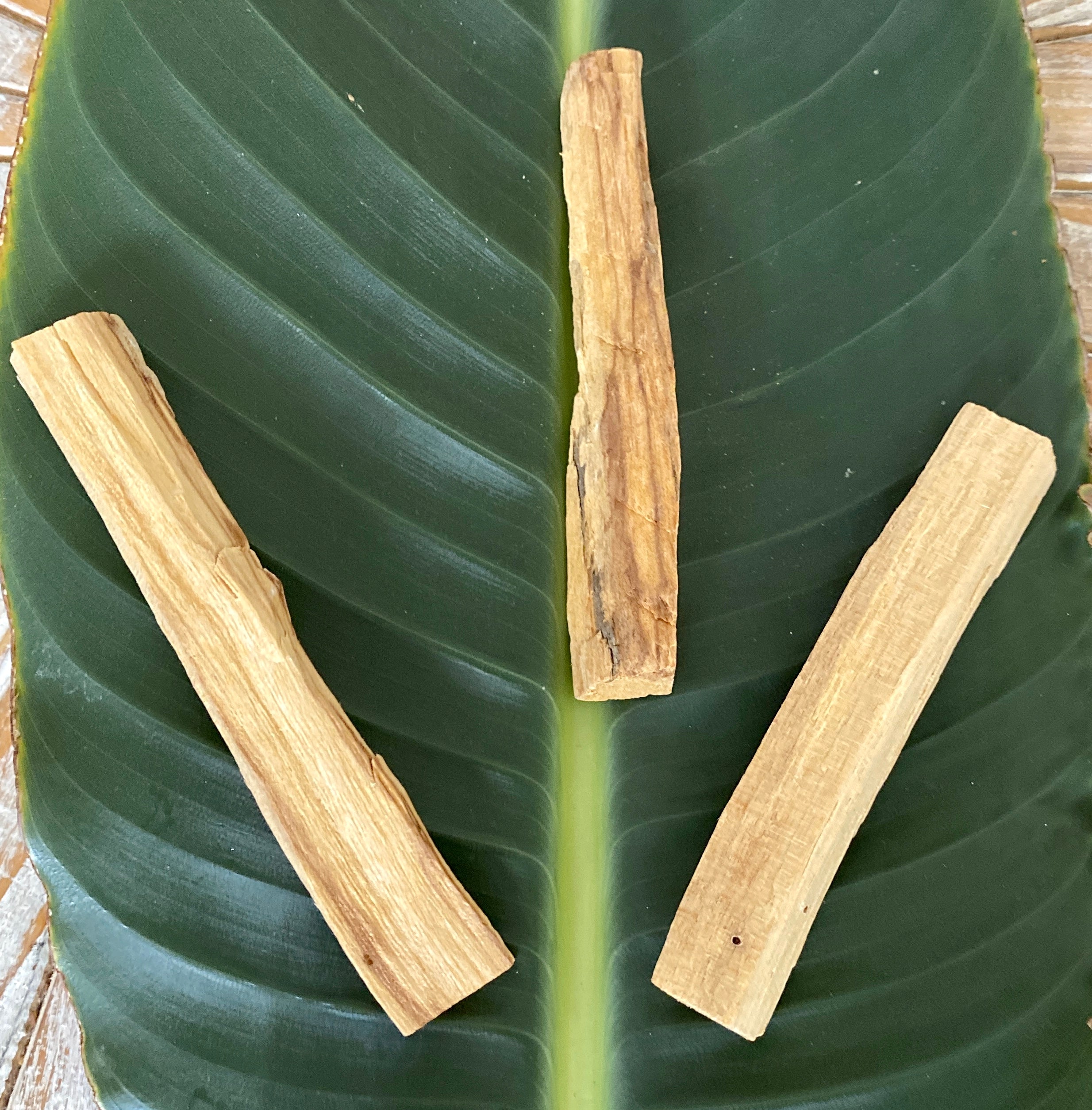 Palo Santo